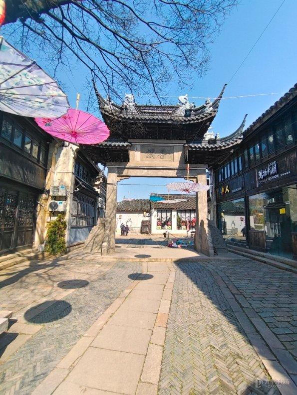 逃离神秘之林